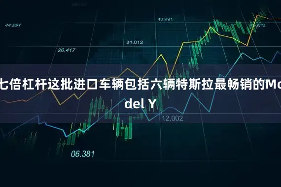 七倍杠杆这批进口车辆包括六辆特斯拉最畅销的Model Y