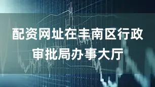 配资网址在丰南区行政审批局办事大厅