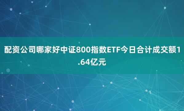 配资公司哪家好中证800指数ETF今日合计成交额1.64亿元