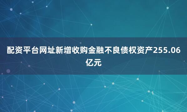 配资平台网址新增收购金融不良债权资产255.06亿元